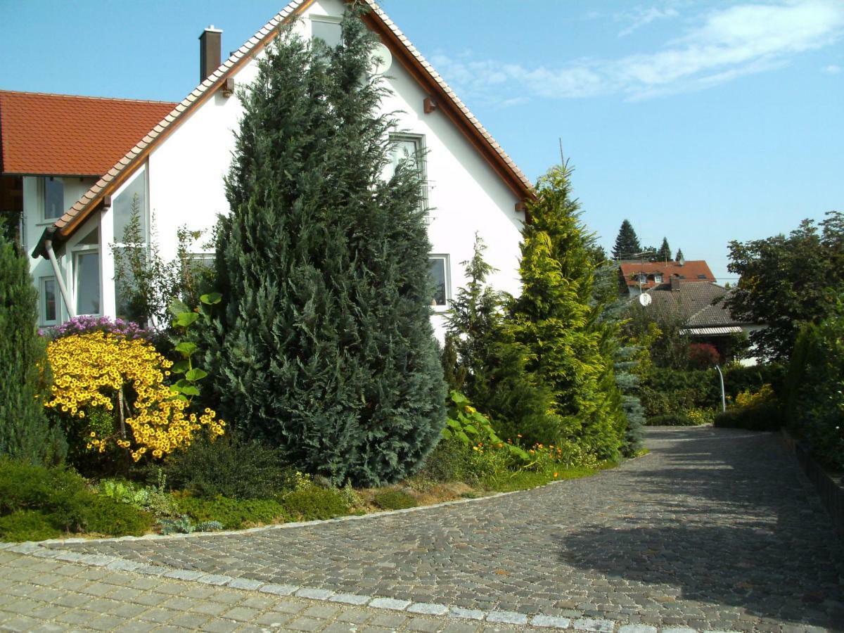 Belisa *
